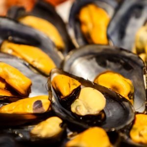 Mejillones