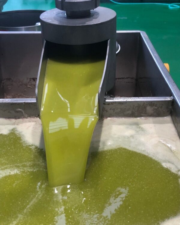 Aceite de Oliva Virgen Extra Sin Filtrar 5L Cortijo Garzón
